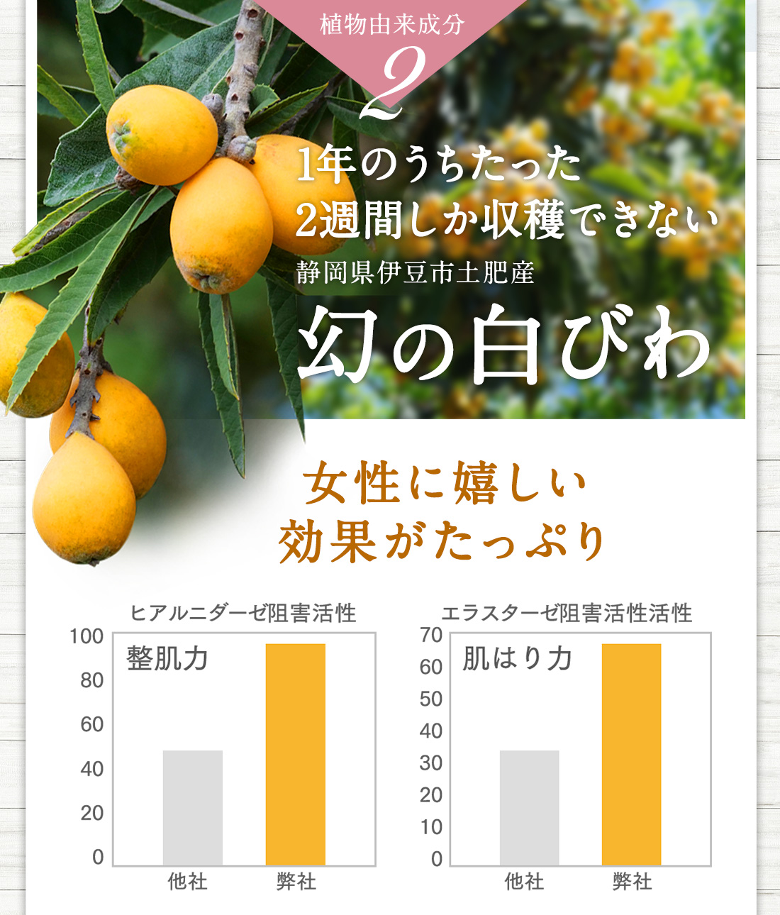 植物由来成分2 1年のうちたった2週間しか収穫できない静岡県伊豆市土肥産 幻の白びわ　女性に嬉しい効果がたっぷり
