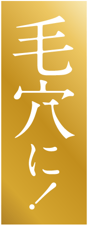 毛穴に！
