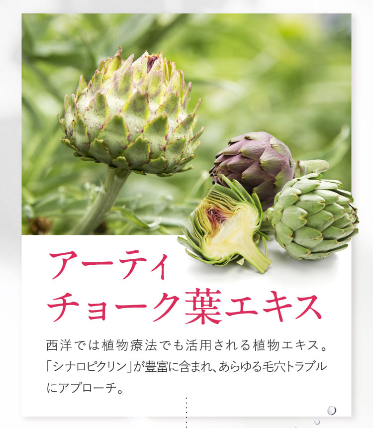 アーティチョーク葉エキス