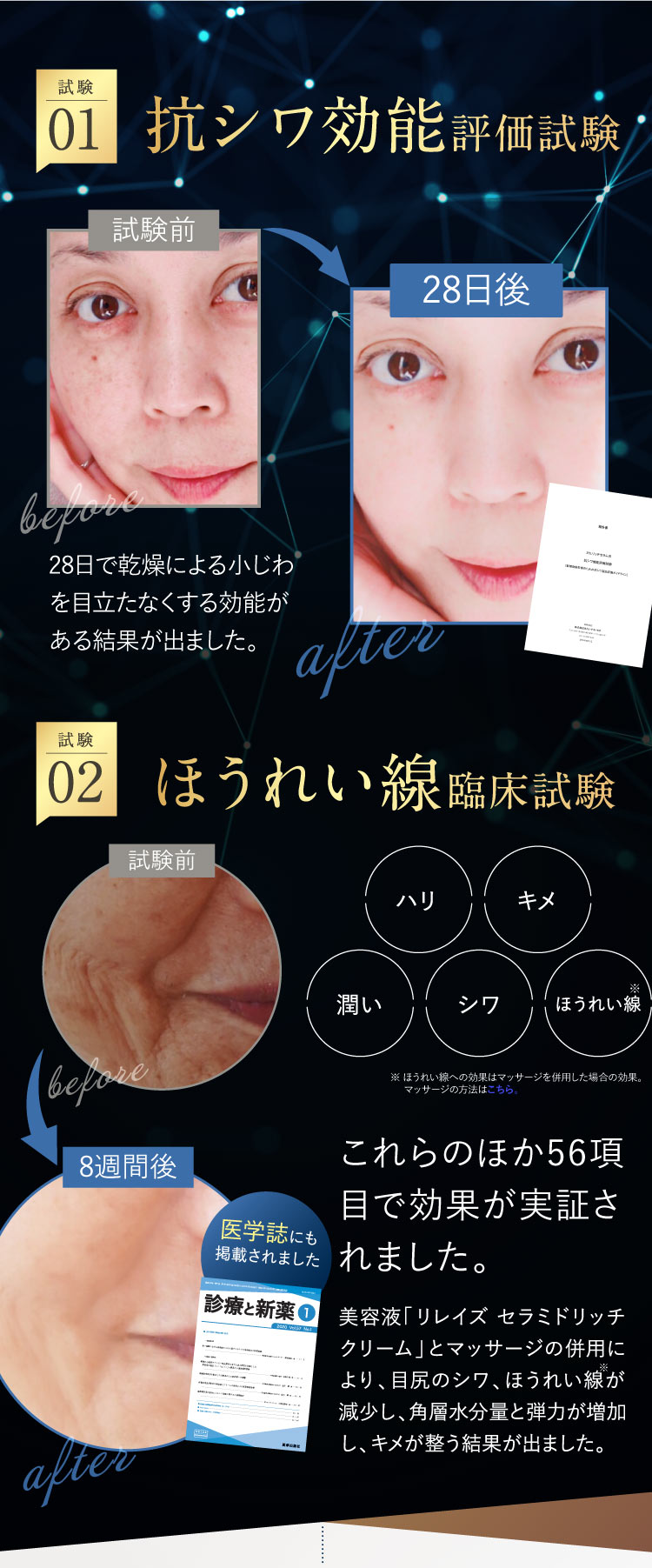 抗シワ効能評価試験
