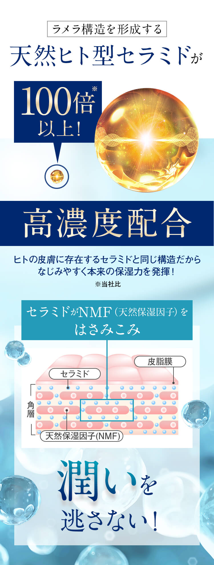 ラメラ構造を形成する天然ヒト型セラミドが100倍以上高濃度配合