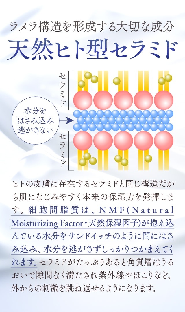 天然ヒト型セラミド